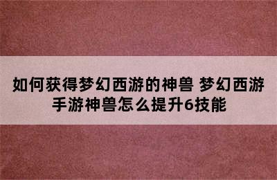 如何获得梦幻西游的神兽 梦幻西游手游神兽怎么提升6技能